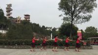 太湖飞凤广场舞《高原格桑花》编舞 应子