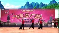 应子老师广场舞《向往》表演  应子 团队版