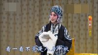 京剧名段《二进宫》