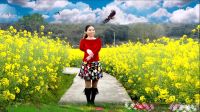金水美调广场舞《马背上的萨日朗》编舞青儿