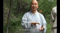 少林养生八段锦 全集  标清