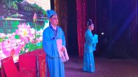 黄梅戏《红丝错之责女》清晰舞台版