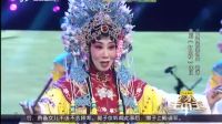 晋剧《打金枝—金枝女》谢涛反串—伶人王中