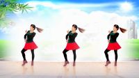 2017最新广场舞 原创水兵舞 《对着月亮说声
