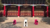 健身气功·易筋经 赵康林 王丽芬 王惠琼