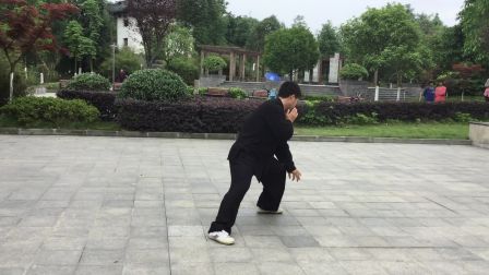 陈式太极拳老架一路 演练者王祥瑞