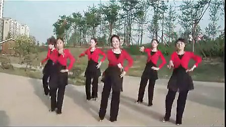 美久广场舞《我从草原来》武冈市飞鹏数码制