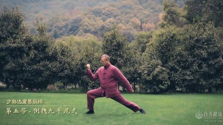 田健弘少林达摩易筋经十二势教学