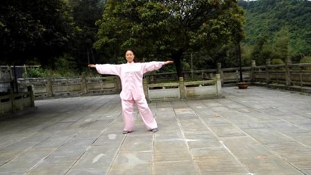 健身气功易筋经演示