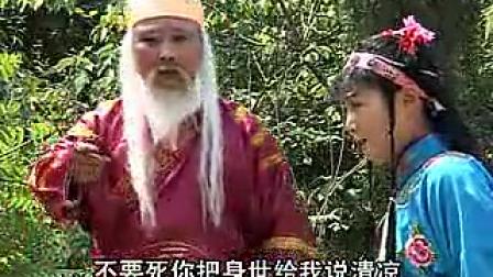 琴书《大宋金球记》07集下载