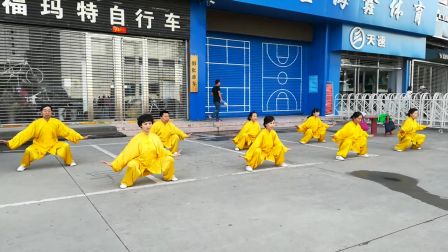 雁塔区武术协会健身气功队演练《易筋经》