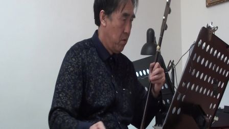 欢乐四平调 二胡赵士成 伴奏田建筑
