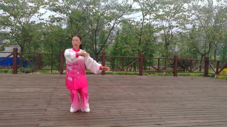 扬式40式太极拳20170521
