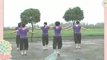摩登辣妈广场舞 标清