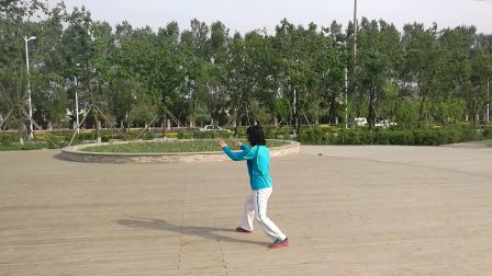 85式杨氏太极拳研习