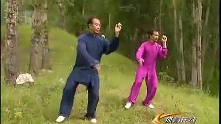 养生健身气功合集（八段锦 五禽戏 易筋经 六