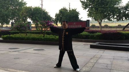 陈硯毛健身气功易筋经