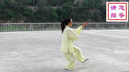 向群芳二十八杨式太极拳