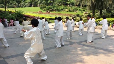 传统八十五式杨氏太极拳演练