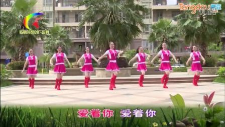杨丽萍糖豆广场舞《一直爱着你》大众韵律健