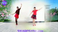 2017最新简单好学初学广场舞教学《雨一直下