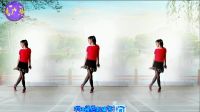 阿采广场舞教学《我把爱情想的太完美》206 