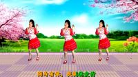 最新吕芳广场舞《桃花姑娘》正背面编舞萱萱及分解动作.mp4下载