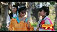天瑜戏苑歌仔戏多情人间运河二调 貌比潘安