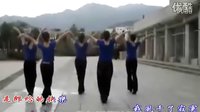 紫蝶广场舞《郎的诱惑》高清