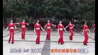 周思萍广场舞《伤不起》配歌词字幕超清