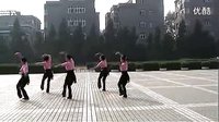 高安子君广场舞《草原多么美》标清