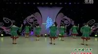杨艺韩丽全民广场舞第八季《吉祥藏历年》下载