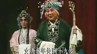 评剧《对花枪》选段 老身居住南阳地下载