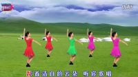 《我爱的姑娘在草原》宇美广场舞