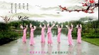 张春丽原创广场舞《一枝梅》正面演示 背面