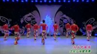 高安子君广场舞《最炫广场舞》