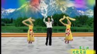 高安子君广场舞广场舞《最新广场舞双人舞》