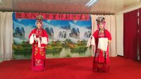 评剧《花为媒》洞房 演唱级升里李淑萍 郑王兰下载