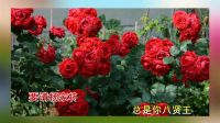 淮剧伴奏《白虎堂 河塘搬兵》