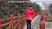 王金龙莲花落《专说清官》mp4