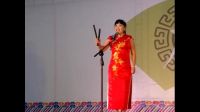 《福塔有戏》胡银花演唱河南坠子