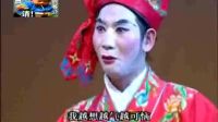 潮剧全剧《双狮宝图》标清