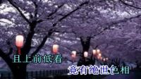 粤剧伴唱《丹青误昭君》消男音