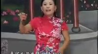 河南坠子《单官保投亲》全本 胡银花标清