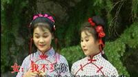 黄梅戏《大嫂大姐》字幕版