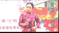 河南坠子《石元进宫》