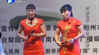 河南坠子《中花 银花》