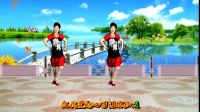 2017最新吕芳广场舞简单《想着你的好DJ》正