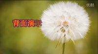 青青世界广场舞《宝贝再来一次》美女热舞