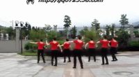 踏歌广场舞《请到草原来》 演示教学 含背面